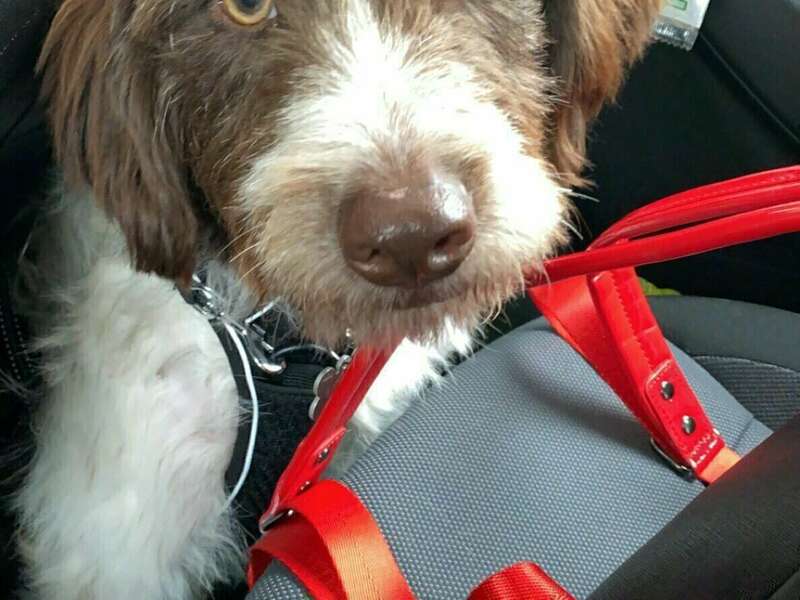 img_648111_20211006_154651