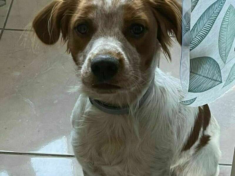 img-20211010-wa00111_20211023_111932