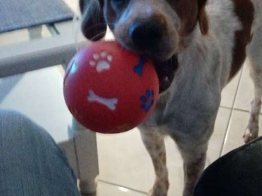 part_1633530849864_20211006_163415