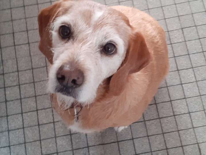 resized_20200503_101811_20211006_210936