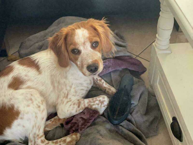 img-20210517-wa00021_20211006_164119