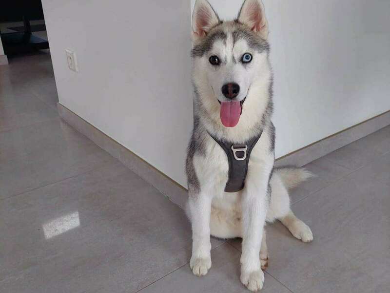 336873122_1578373569255111_2256016547088039806_n