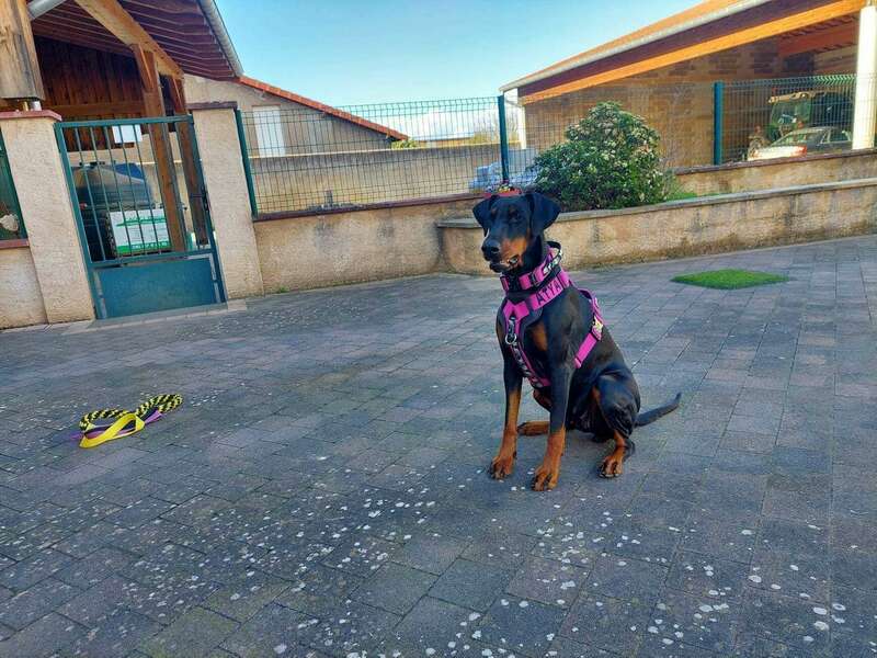 336907064_607044027945512_5749256119778236704_n