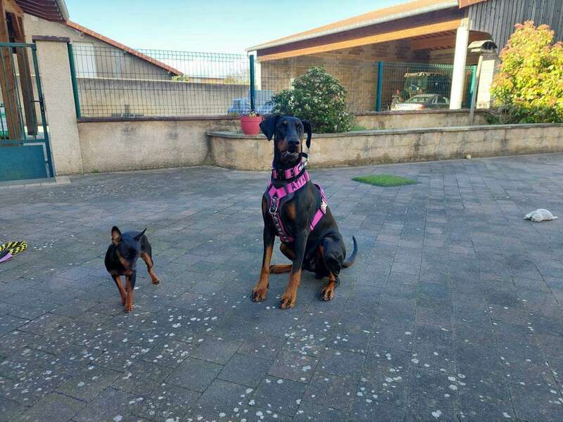 337436505_2293230494183162_3889766911626814899_n