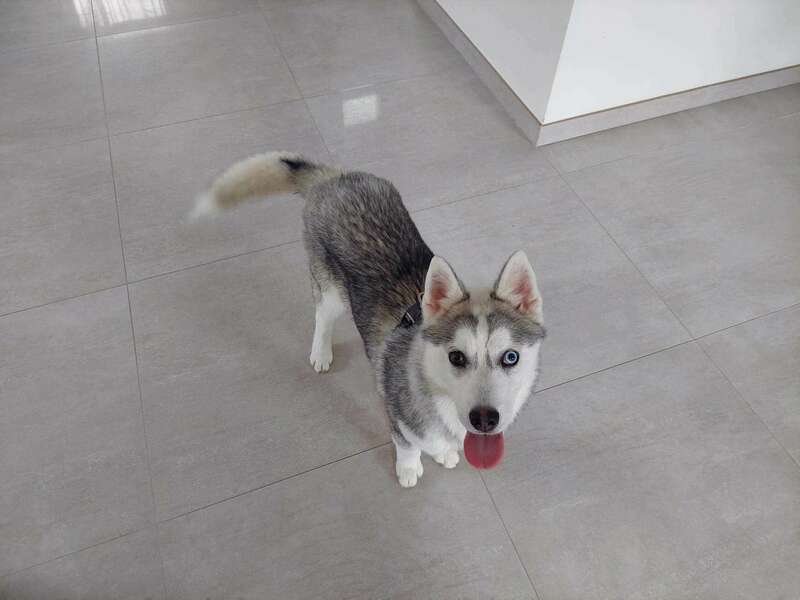 339071663_139822208842632_8666231789842455137_n