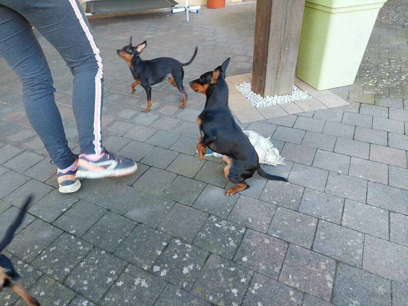 339378129_172398598993182_5688399715785245228_n