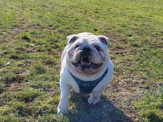 331877577_567686685416254_6698776555458972179_n