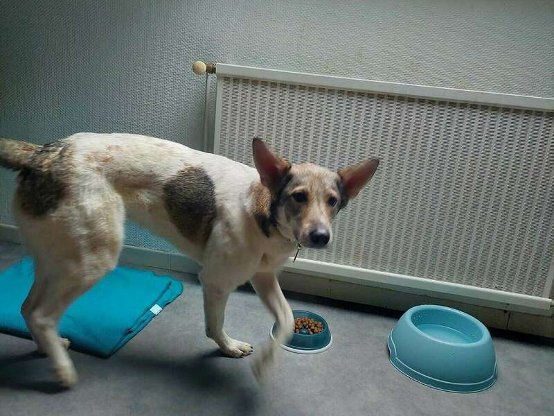 332362765_1254794238726838_8681180579199285263_n