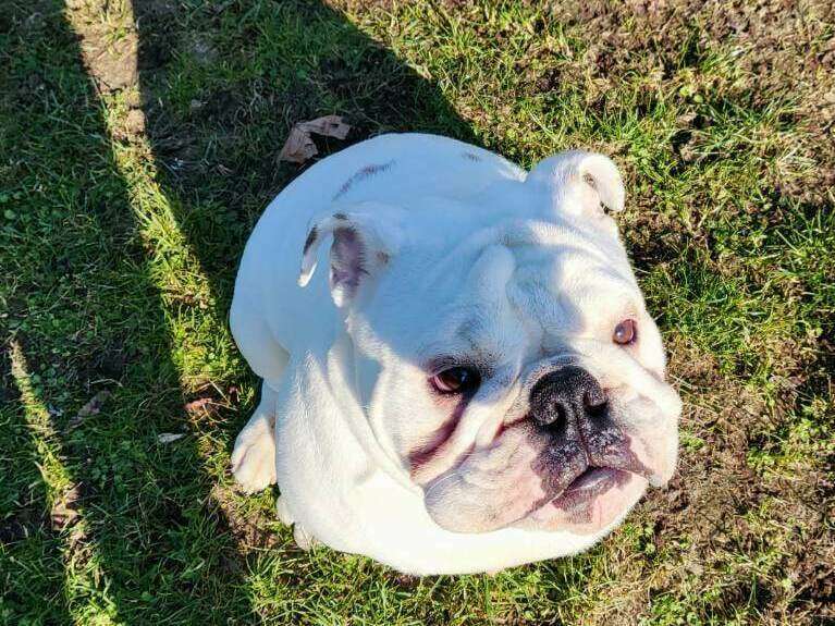 332405124_2506794359473134_2290588103328414075_n