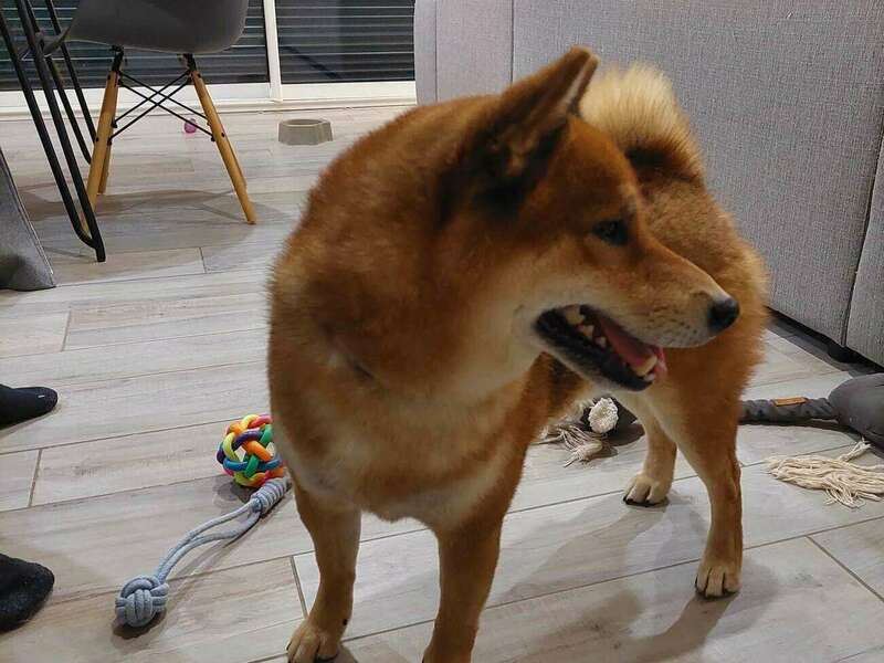 332714148_734508178320865_7952363792817890420_n