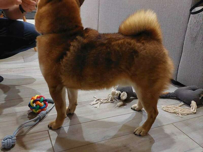 333238787_737010888144957_7746882691361880601_n