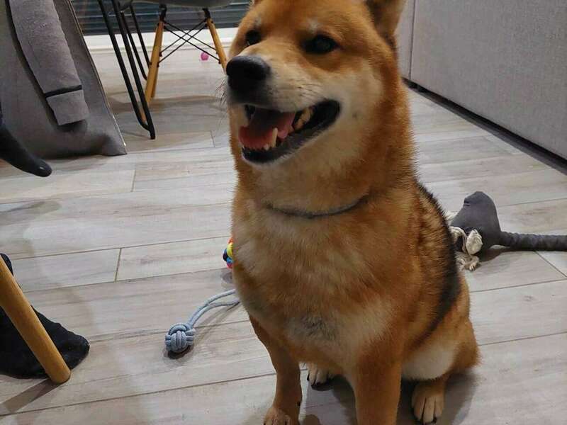 333592936_2424914677675457_3834536654076302911_n