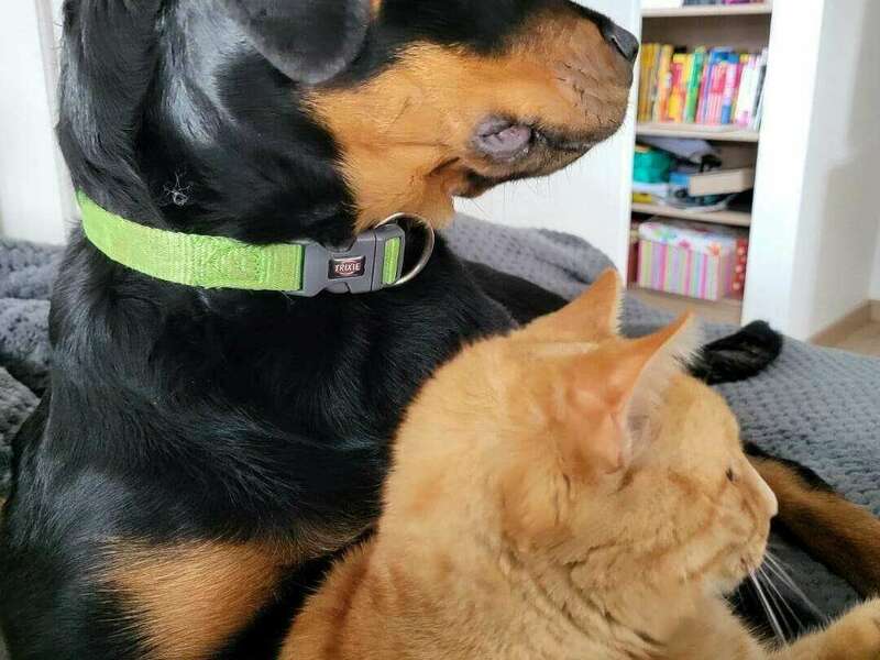 333691761_909339860110422_2107370065078399512_n