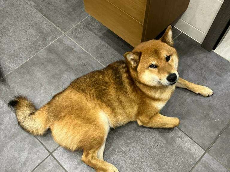 333913343_657650339704877_895961702648428054_n