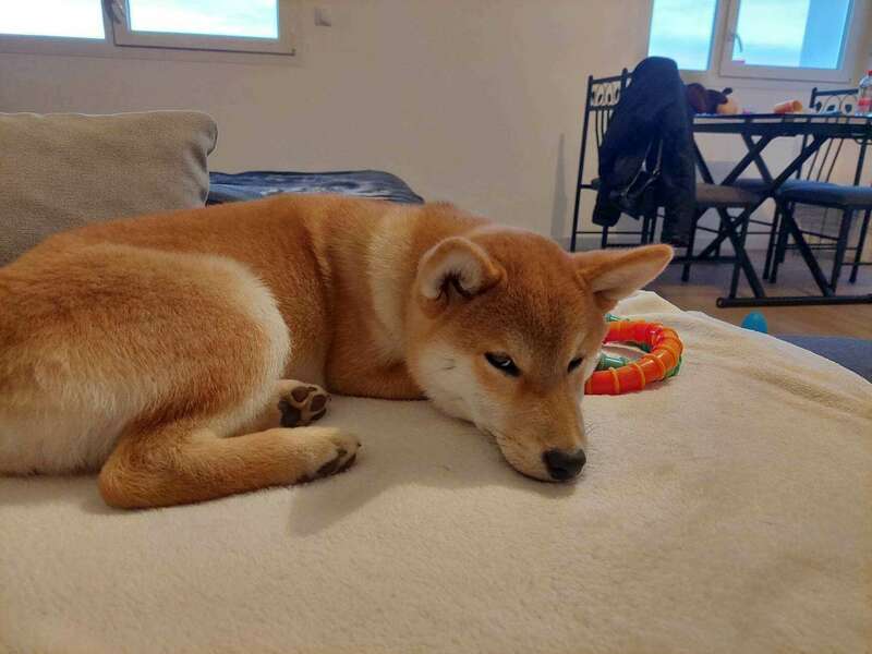 334289757_222776946821743_1843264149499472202_n