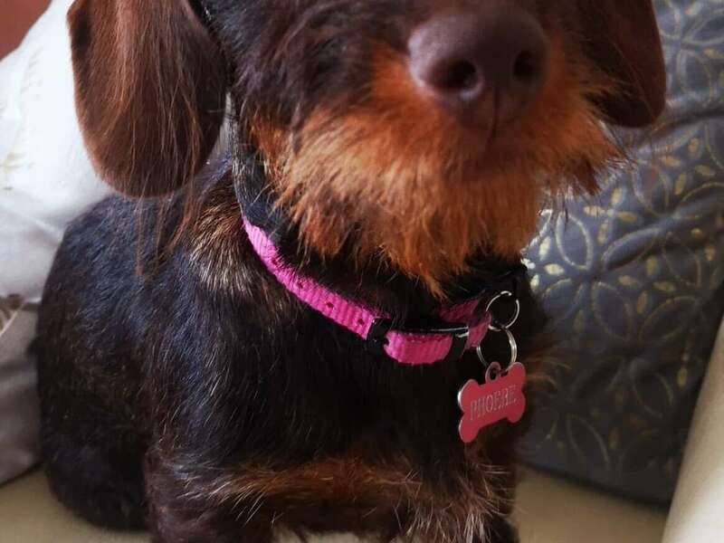 285717759_562675208889466_4876376678416329841_n