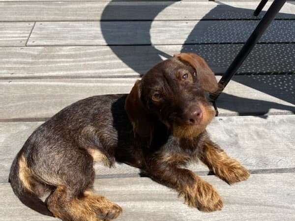 286376207_543751673909559_1175305214261532616_n