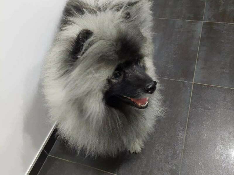 323578707_572030114509341_386855729675664118_n