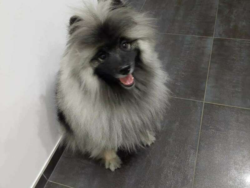 323584113_721252266213954_5054702788625268457_n