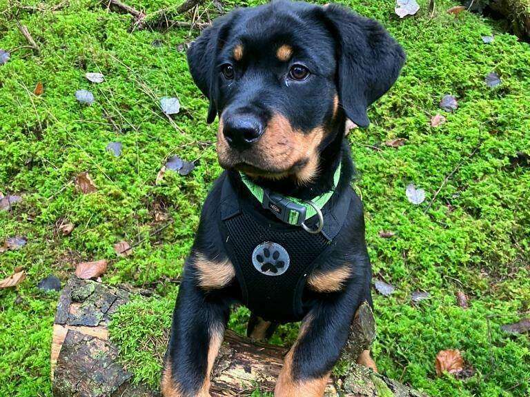 324450833_1386049898828687_959890524092361127_n