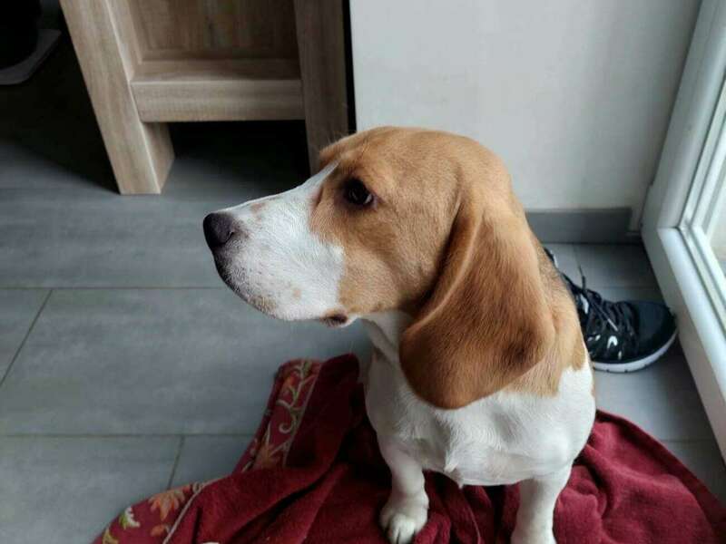 324636258_538127305077990_6334032018270437489_n