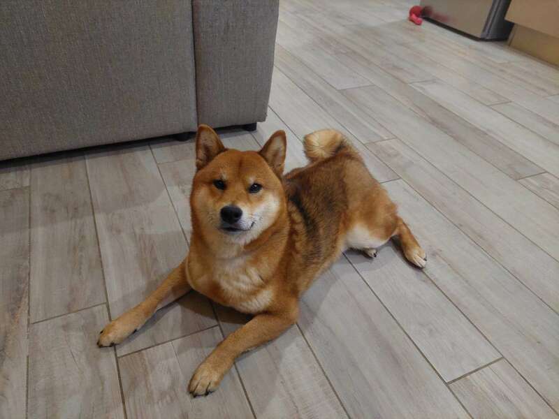 324699065_1220704978841593_931460750107042342_n