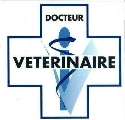 Clinique Vétérinaire à Amnéville (Moselle)