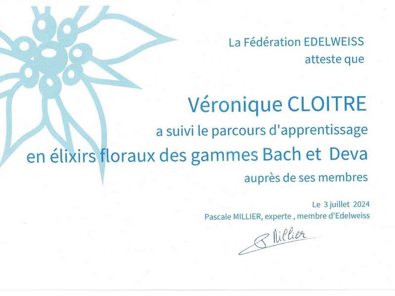 numerisation_20240806