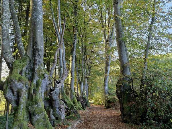Sur le sentier des Sorcières