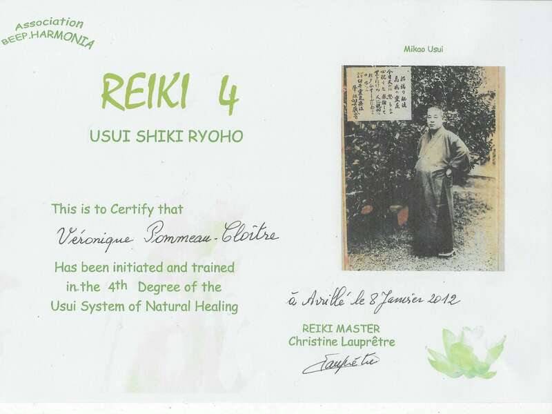 maitre_reiki20210617-167405-1u37s00