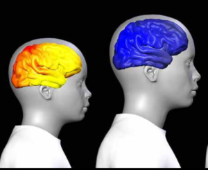 En savoir plus sur Éveil et Stop ! 