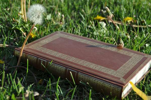 Comment 5 grands philosophes peuvent vous aider avec l'Éveil ?