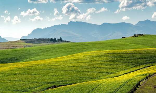 Qu'est ce que je vous propose ?