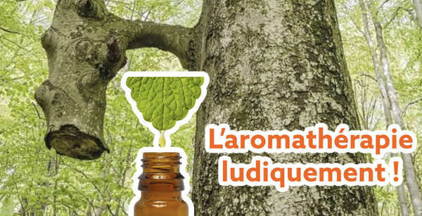 Quelles sont les vertus de l'aromathérapie ludiquement ?