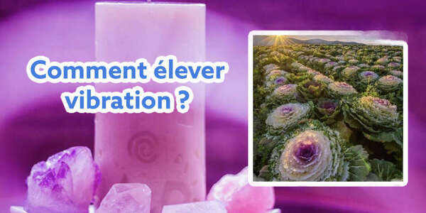 Comment élever vibration ?