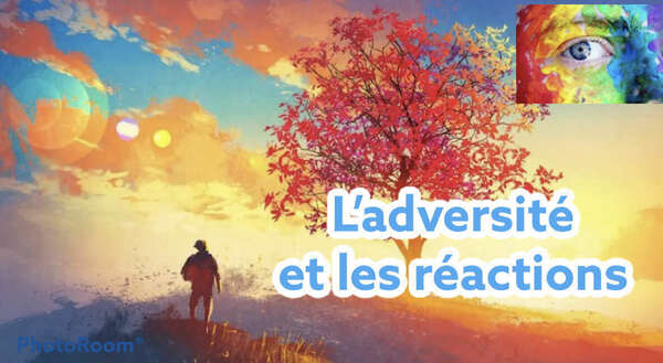 Comment réagissez-vous face l'adversité ?