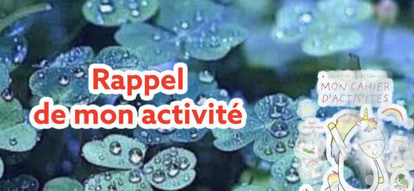 Qu'est ce que propose ma thérapie ?