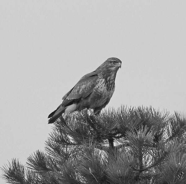 Comment se reconnecter à soi ?