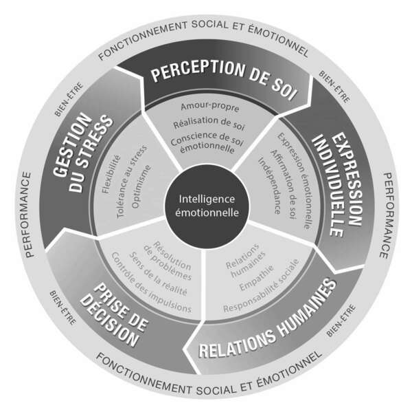 Axes intelligence émotionnelle