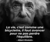 Manifestation Einsten