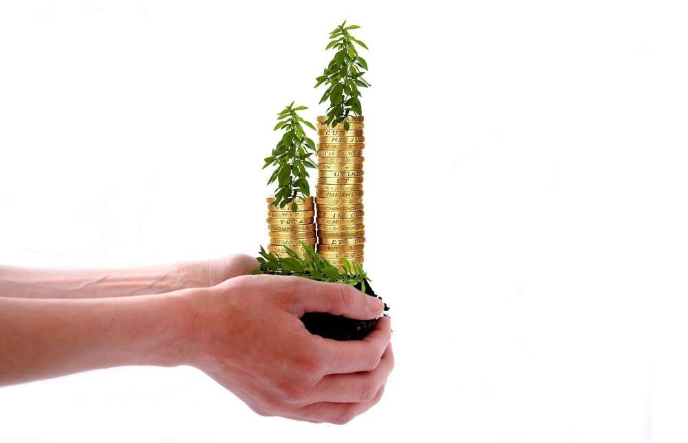 Boostez votre patrimoine avec l'investissement forestier