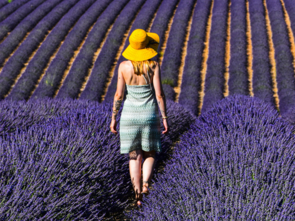 Vaucluse : louer sa maison en courte durée et profiter pleinement de la Provence