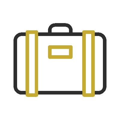 Wired outline 725 suitcase travel baggage luggage hover pinch