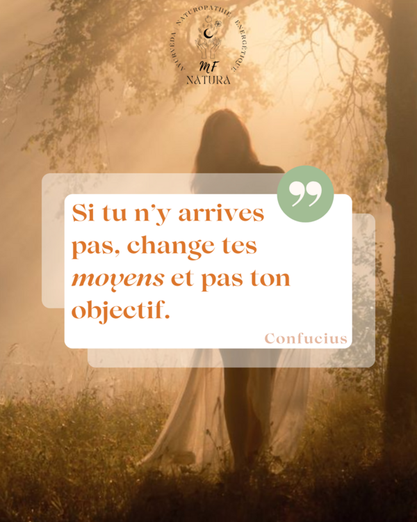 Si tu n'y arrives pas, change tes moyens, pas tes objectifs