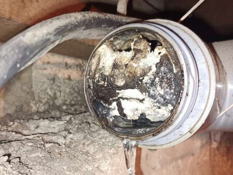 591_-_grande20230307-80897-dkiln9