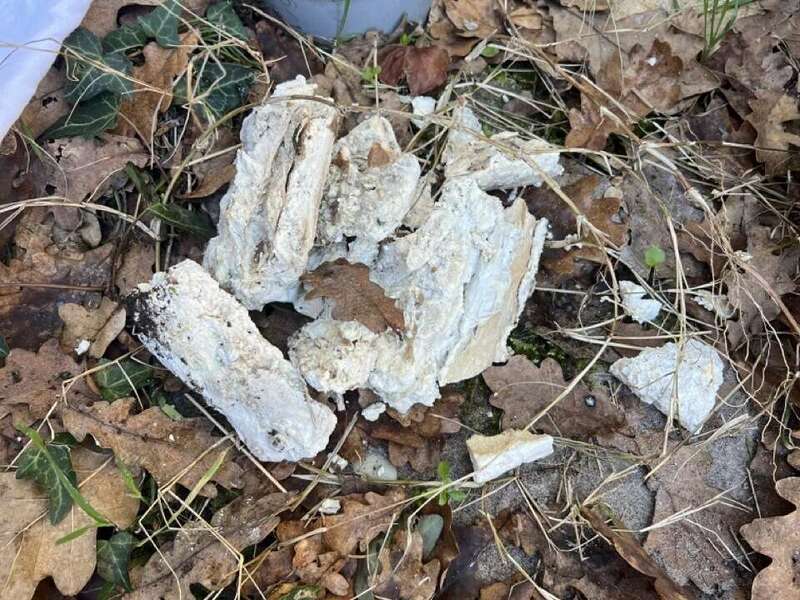 img_3145_-_grande20230307-3854988-aeiwio