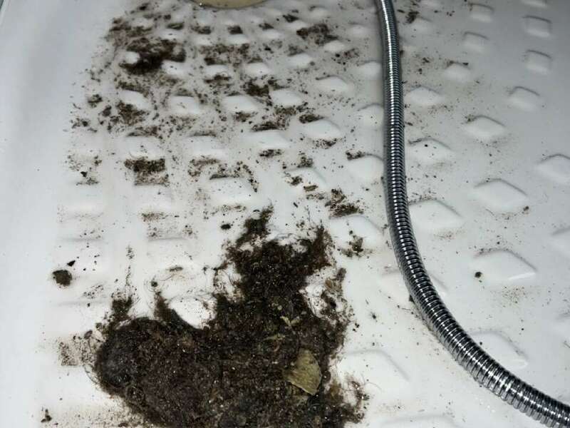 img_3870_-_grande20230307-3854988-2jhetb