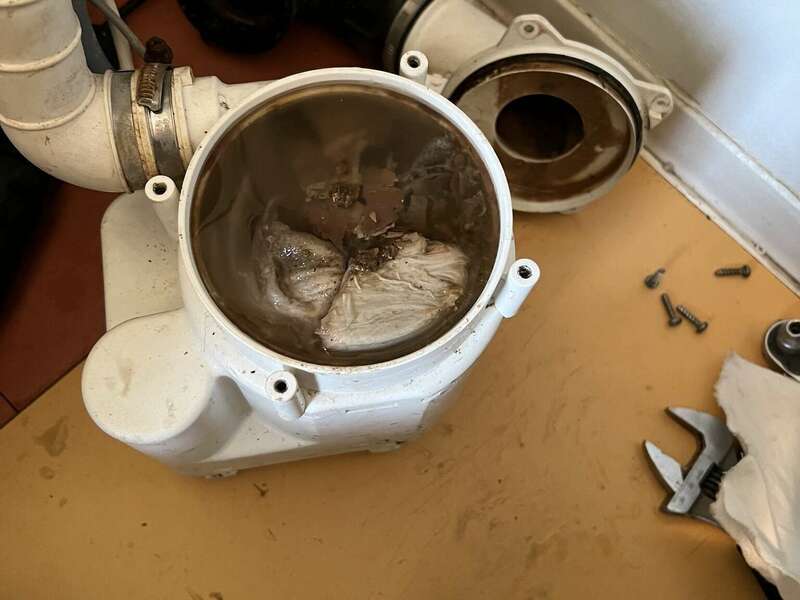 332143890_1276787609848677_7362347257515968243_n20230307-3854988-expclr