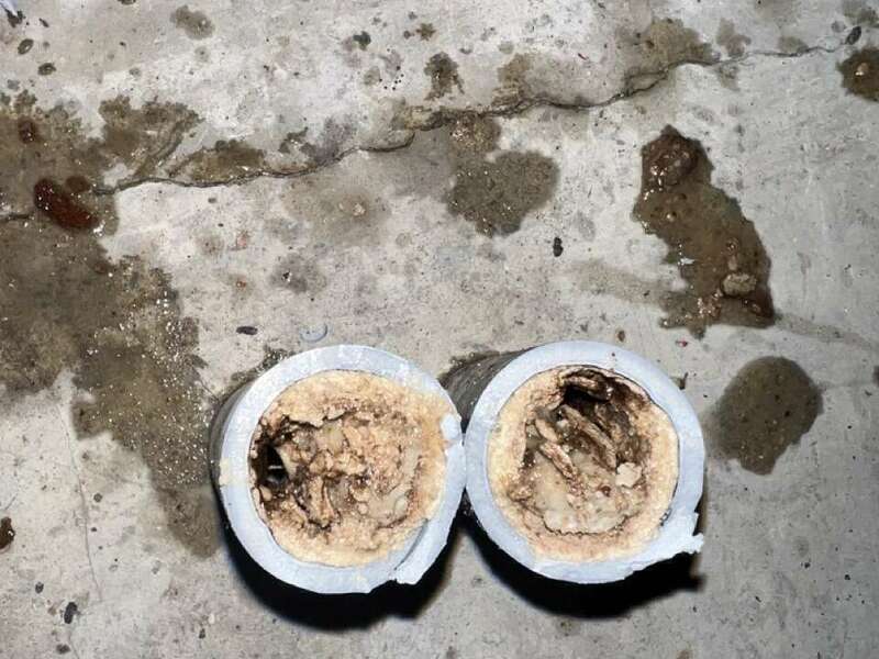 img_3942_-_grande20230307-3854988-1oedhj5