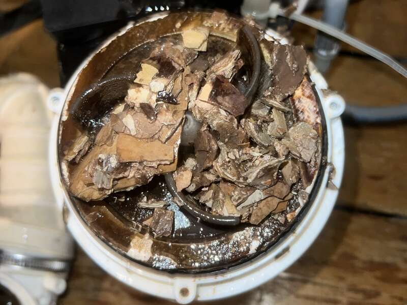 tempimagey0ykkg20230307-3711492-1ilhklx